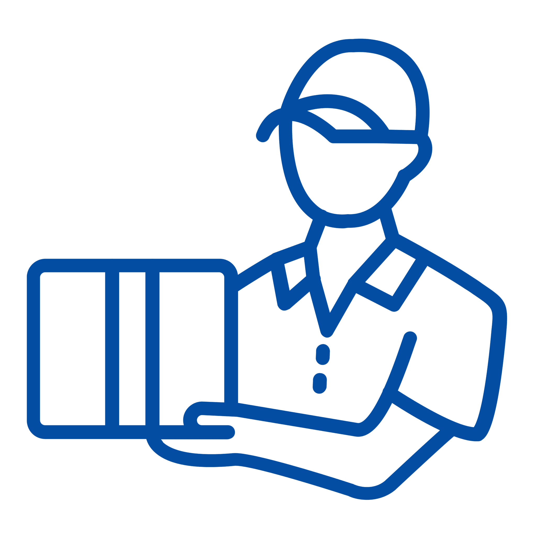 domestic courier service 2048x2048